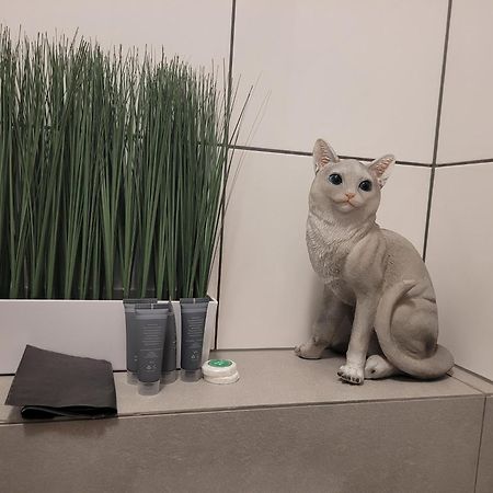 Neptun - Apartament Nr 5 W Dominikana Resort & Spa シャノジェンティ エクステリア 写真